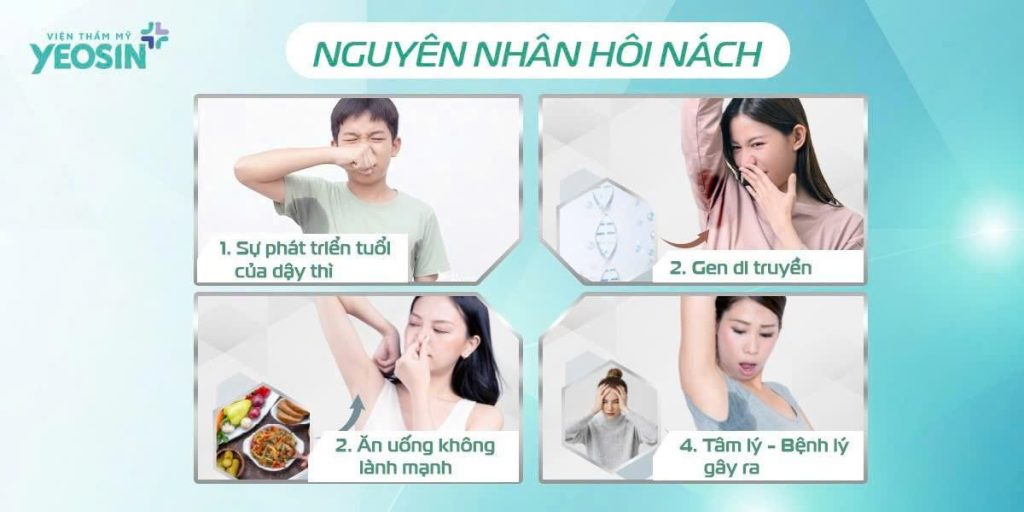 Nguyên nhân gây hôi nách Yeosin Nguyên nhân gây hôi nách